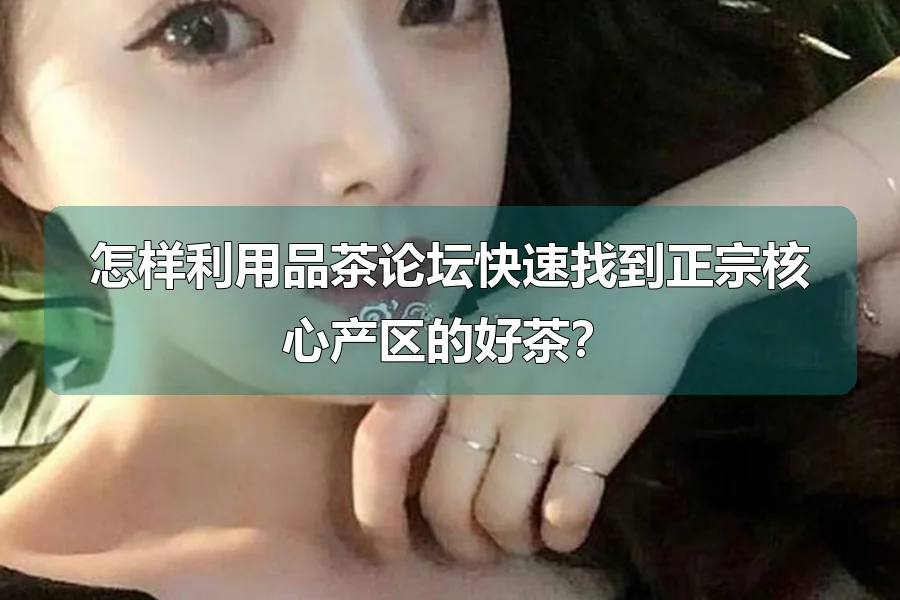 怎样利用品茶论坛快速找到正宗核心产区的好茶？